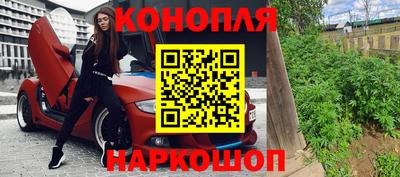 крисы Лесосибирск