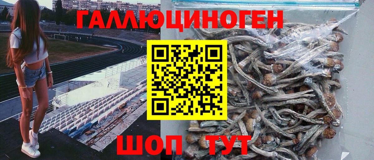 Зима  магазин продажи   Вход с VPN  Псилоцибиновые грибы MAGIC MUSHROOMS 