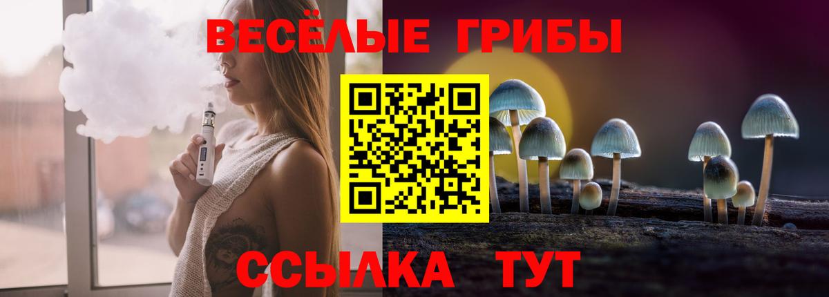 Галлюциногенные грибы Psilocybe Зима
